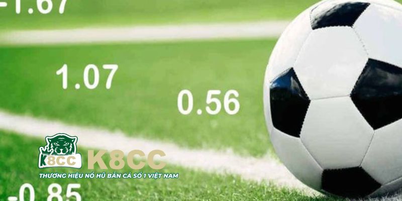 Mẹo sử dụng Odds là gì cho hiệu quả