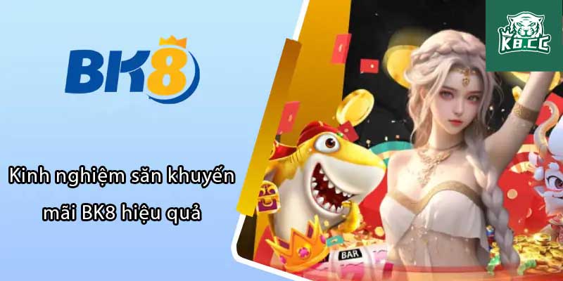 Các chương trình săn khuyến mãi bk8