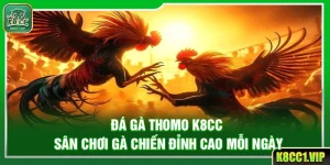 Đá Gà Thomo K8cc – Sân Chơi Gà Chiến Đỉnh Cao Mỗi Ngày