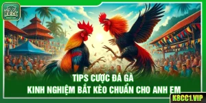 Tips Cược Đá Gà – Kinh Nghiệm Bắt Kèo Chuẩn Cho Anh Em