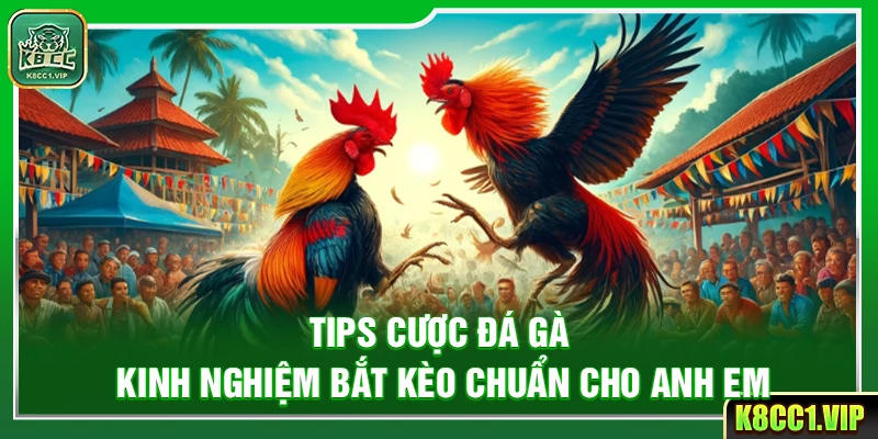 Tips Cược Đá Gà – Kinh Nghiệm Bắt Kèo Chuẩn Cho Anh Em