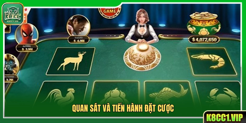 Theo dõi và chọn cửa cược