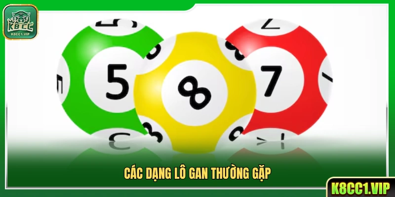 Những loại lô gan phổ biến hiện nay