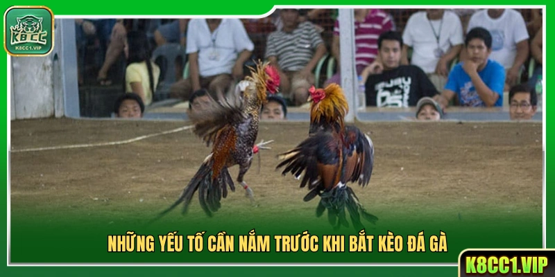 Các yếu tố quan trọng cần biết trước khi vào kèo đá gà