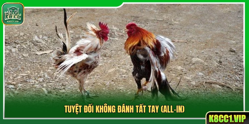 Không nên dồn toàn bộ vốn vào một kèo duy nhất