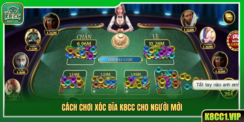 Hướng dẫn chơi xóc đĩa K8cc dành cho tân binh